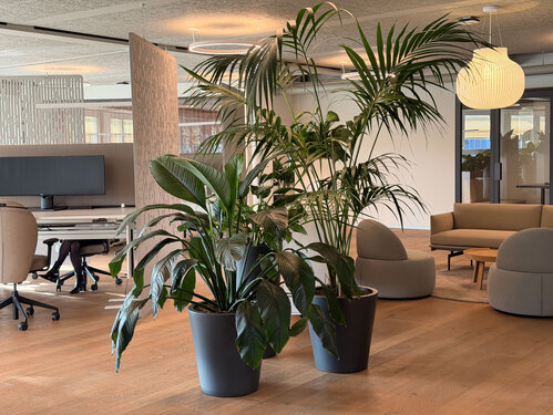 <span class="creferenceoverview__title creferenceoverview__title--design-2">assetimmo Immobilien Anlagestiftung</span> 
B&uuml;roplanung f&uuml;r den neuen Hauptsitz.